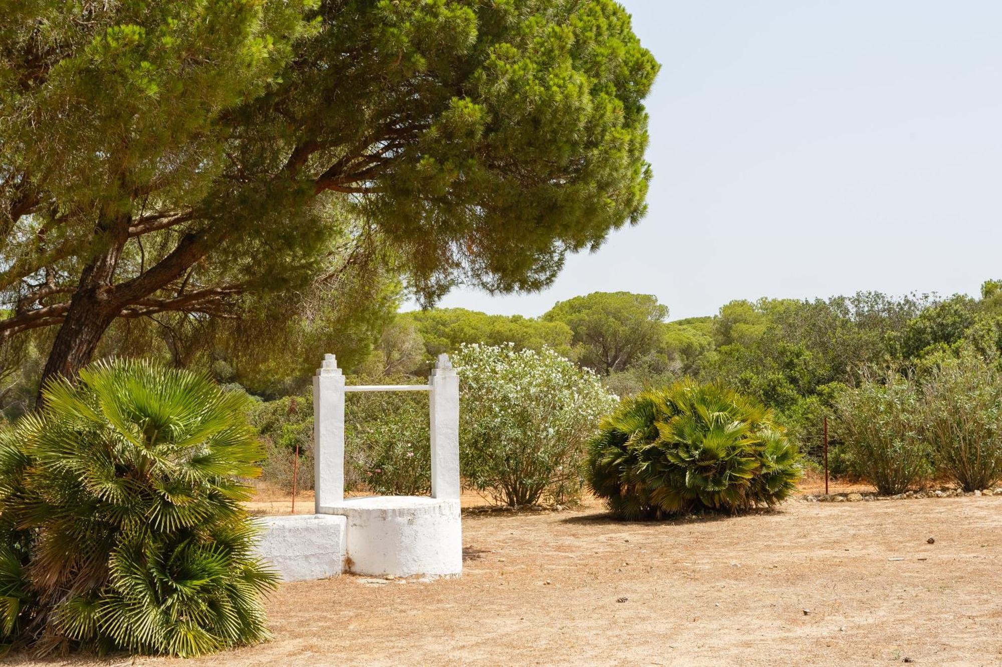 Casa Dehesa De Las Yeguas Cadiz Ngoại thất bức ảnh
